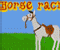 Horse Racin - Gioco Sport 