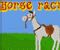 Horse Racin - Gioco Sport