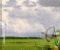 Balloon Hunter - Gioco Strategia