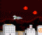 Night Raptor - Gioco Azione