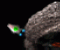 FlashWars - Gioco Azione