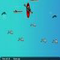 dc8p Fishwater Challenge - Gioco Sport