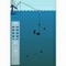 Fishing the Sea - Gioco Arcade
