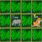 Alpha - Zoo Concentration Game - Gioco Puzzle