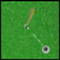 Amazing Golf - Gioco Sport