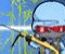 Forest - Gioco Azione