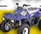 Quad Evasion 62 - Gioco Azione