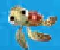 Crusin With Crush - Gioco Avventura