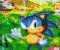 Ultimate Sonic Quiz - Gioco Puzzle