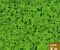Four Leaf Clover - Gioco Puzzle