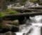 Forest Waterfall - Gioco Puzzle